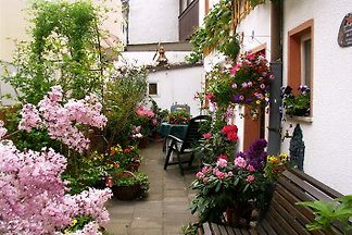 Maisons de repos du soir
