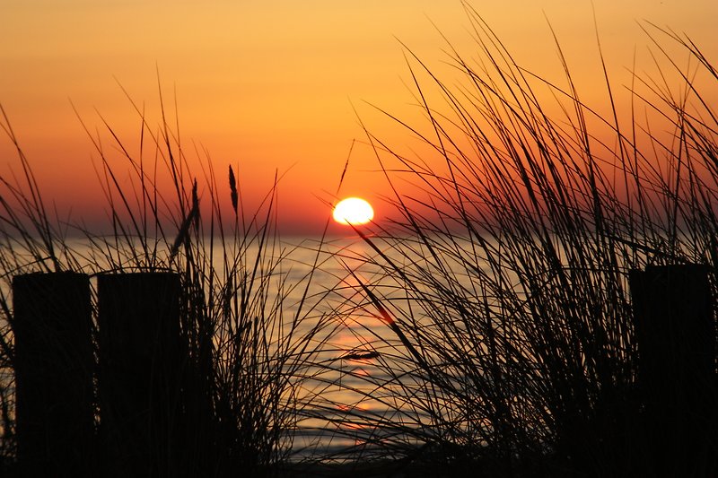 Sonnenaufgang am Strand - das sollte jeder einmal erlebt haben - wunderschön