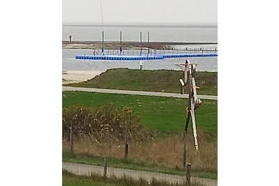 Vikendica Crab North Sea Burhave