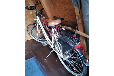 Vikendica Crab North Sea Burhave