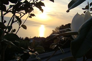MaDi Senj
