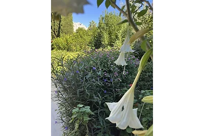 Casa di vacanza "VILLA GÖYNÜK