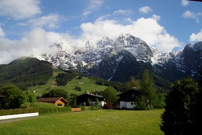 Ferienwohnung Dreier "Abtenau"