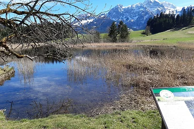 Ferienwohnung Bergblick Haus Dreier