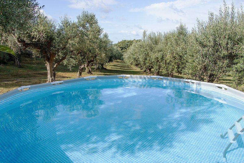 Schwimmbad (Durchmesser 4,6 Meter) mit Blick auf Olivenhain.