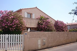 Villa Tulipier