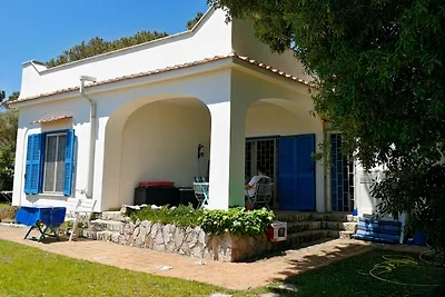 La Capricciosa