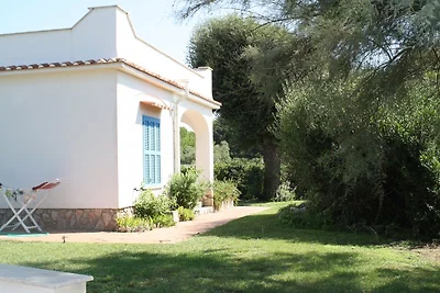 La Capricciosa