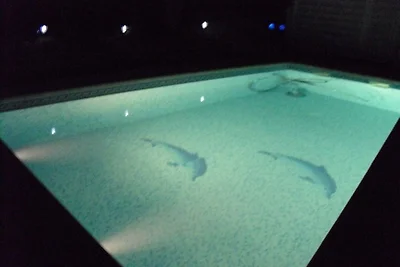 Ferienhaus Südfrankreich Pool