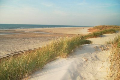 Vejer beach, dunes First
