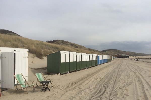 Ferienhaus Zoutelande