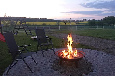 Bungalow Schaalsee MV - 10 Hunde