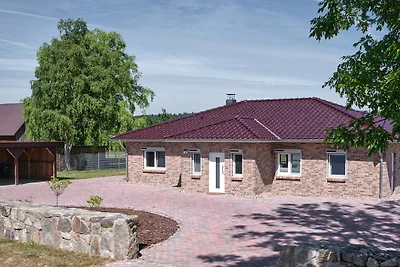 Bungalow Schaalsee MV - 10 Hunde
