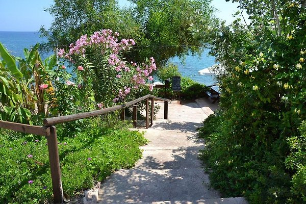 Hotel Polis Chrysochous