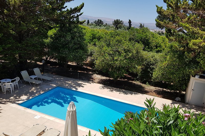 Ein privater Pool im eigenen Ferienhaus auf Zypern am Meer, anstelle eines Doppelzimmers, umgeben von üppiger Natur.