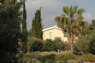 KLEINES HOTEL ZYPERN, PAPHOS, POLIS