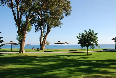 Ferienhaus auf Korsika am Strand