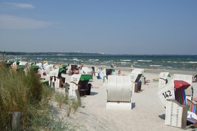 Appartem. Ostseekrabbe,  Top Lage