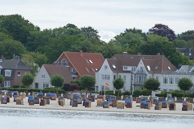 Ostseemuschel Laboe