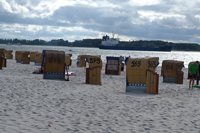 Ostseemuschel Laboe