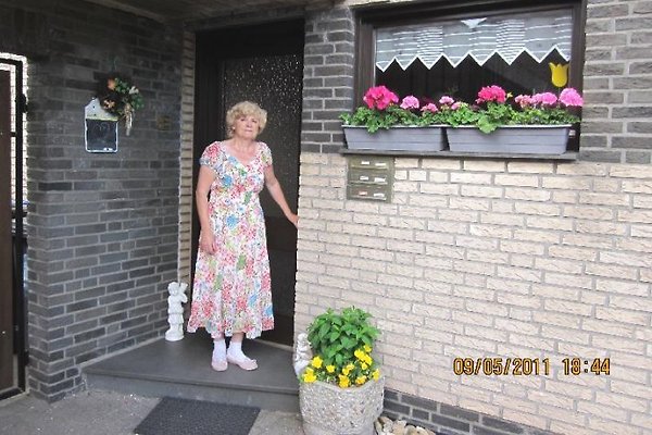 Single wohnung gescher