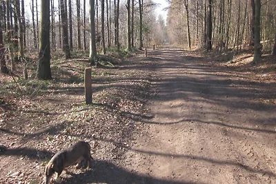 "Ferienwohnung am Berkelpark"
