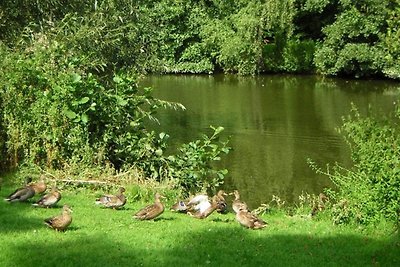 "Vakantiewoning aan het Berkelpark"