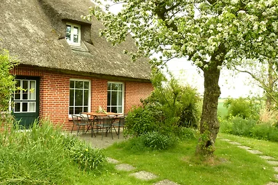 Reethaus-Hälfte mit Terrasse+Garten