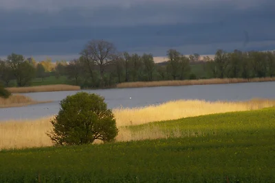 FeWo Schwalbennest EG Zudar Rügen
