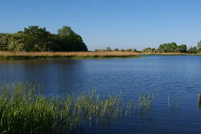 FeWo Rügen Zudar Boddenkieker OG