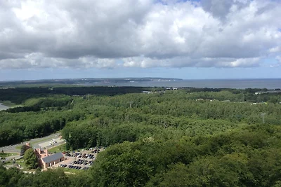 FeWo Schwalbennest EG Zudar Rügen