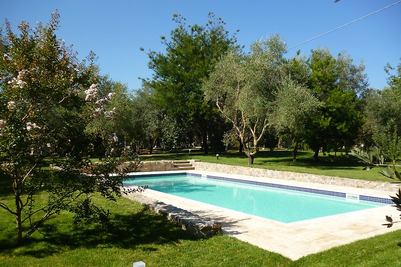 Der schöne Pool im privaten Garten der Villa