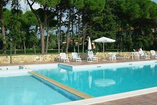 Annesso