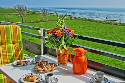 Luxus Ferienwohn Fehmarn Muschel