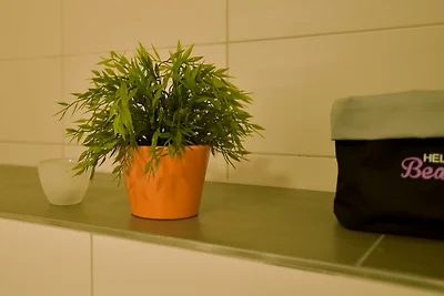 Residenza H&P Grafenmatt Tipo C