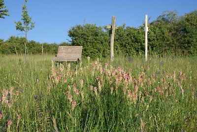 Vakantiewoning Rosella