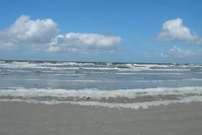 Strandläufernest, Whg 1