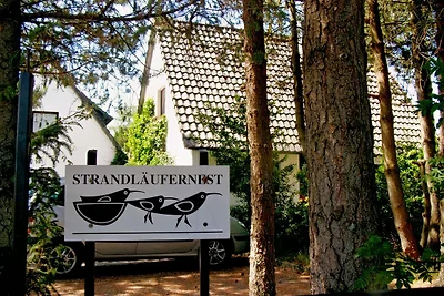 Strandläufernest, Whg.2