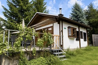 Paradies auch für Hunde