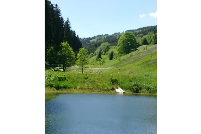 Spitzers appartamenti vacanze