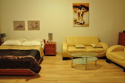 Komfortable 1-Zimmer-Ferienwohnung