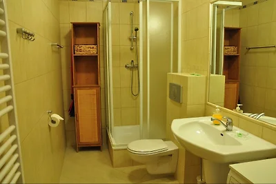 Komfortable 1-Zimmer-Ferienwohnung
