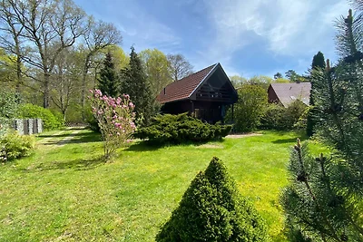 Casa vacanze-Krümmel vicino a Mirow