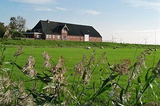 Nordsee nähe Husum