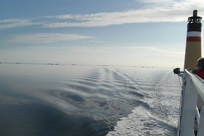 Nordsee nähe Husum