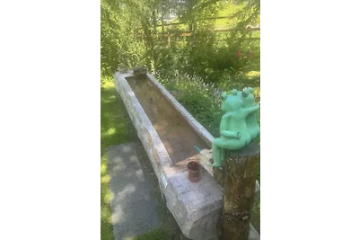 Ferienhaus Bijou Wirzweli