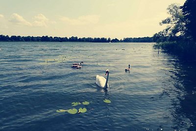 Ferienhäuser in Masuren  