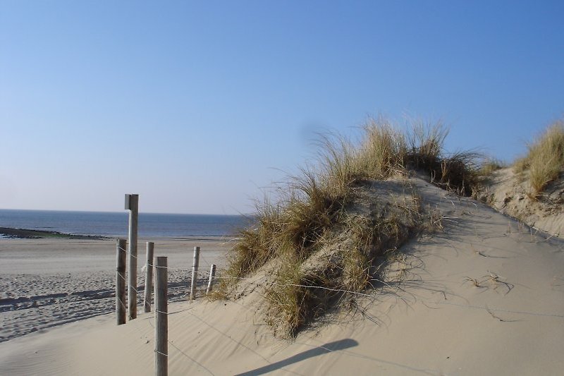 Paisaje de dunas y playa larga