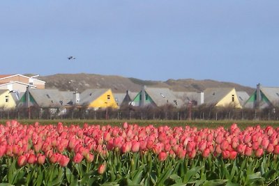 Ferienhaus vom Typ Strandperle