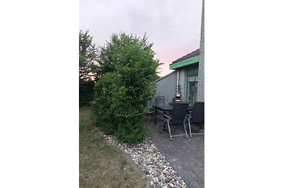 Ferienhaus Typ Albatros Julianadorp